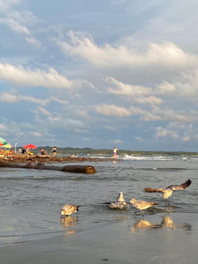 Playa Ladrilleros Acuarios Hostal מראה חיצוני תמונה